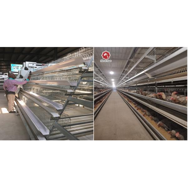 20000 птиц наслаивают оборудование птицы, клетки слоя рамки SGS 3mm a