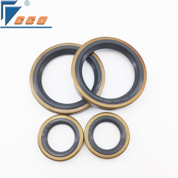 Type NBR Lips Oil Seal Double Lips Steel Rubber Oil Seal For Vacuum Pump