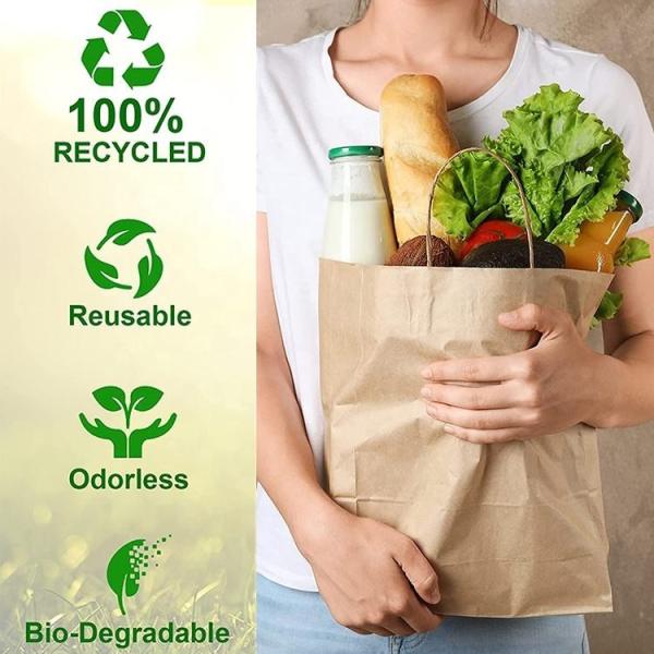 Recyclable Eco Friendly Brown Paper Gift Bags