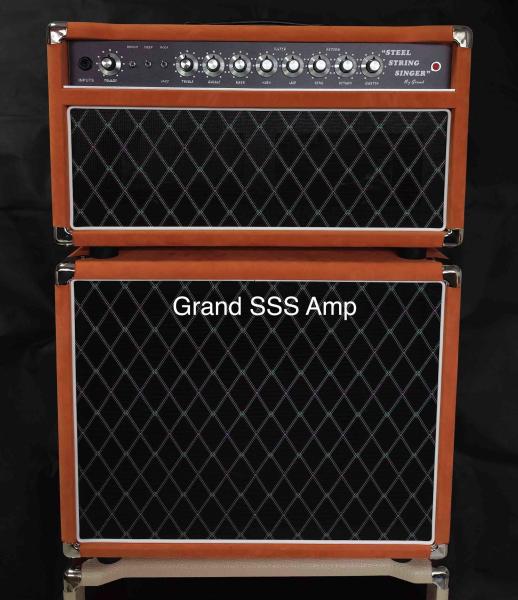 Custom Dumble Style SSS20+112 with Celestion V30 or G12-65 Speaker Red Suede or Purple both Available Accept Amp OEM