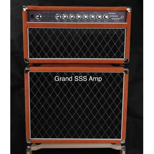 Custom Dumble Style SSS20+112 with Celestion V30 or G12-65 Speaker Red Suede or Purple both Available Accept Amp OEM