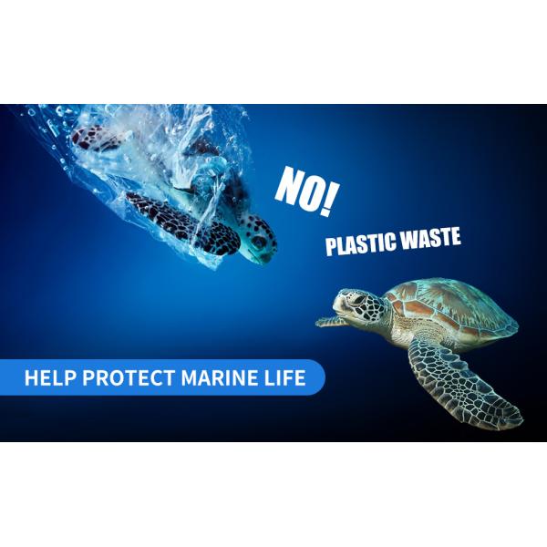 Compostable Disposable 3oz Bathroom Cups 100P Mouthwash Eco Friendly  Cups Biodegradable Bath Rinse Medicin