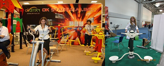 outdoor exercise equipment WPC materials based Arm Extension Apparatus-LK-S06