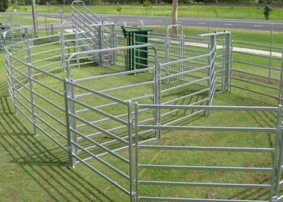 Cerca quadrada Panels dos rebanhos animais da tubulação H1.8m da multi função