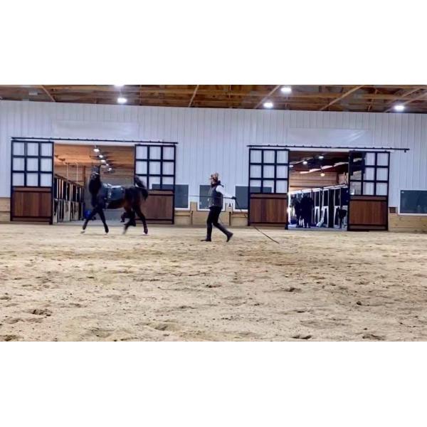 Swing End Door 4x5m 3x4m Horse Stable Panels For Horse Barns