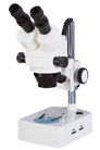 Zoom stereo microscope