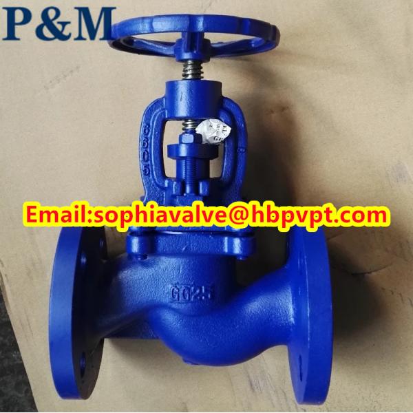 DIN GG25 PN16 cast iron globe valve made in China