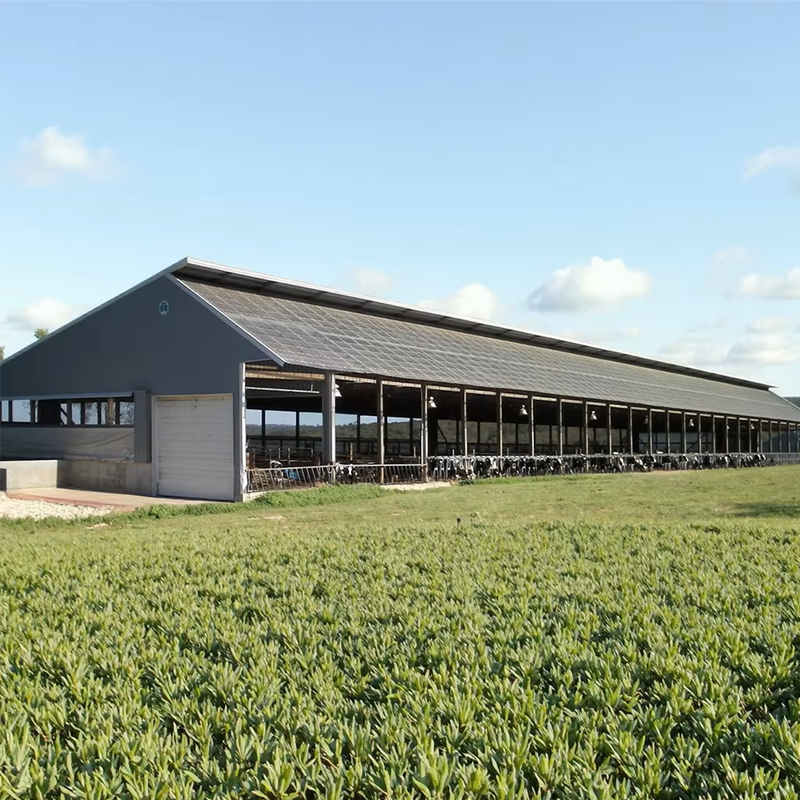 Steel Structure Building