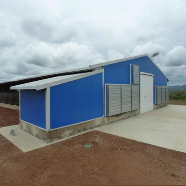 Structure en acier ignifuge Poule maison de volaille Ventilation automatisée cadre en acier poulailler