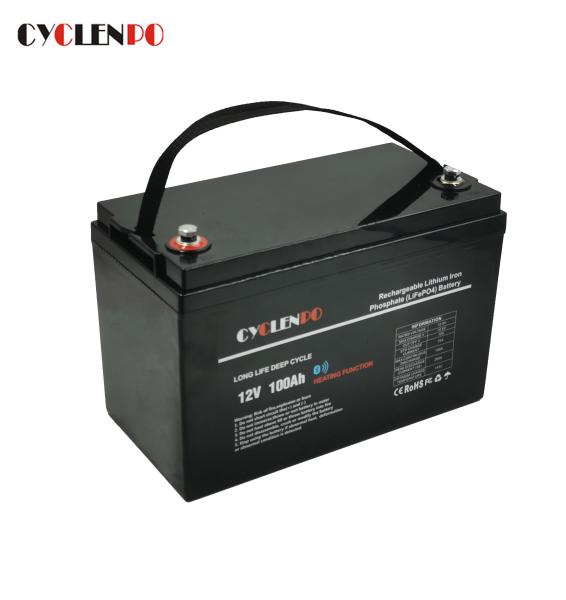 Black Color Bluetooth Lithium Li Ion Battery Pack Self Heated Lifepo4 12V 100Ah