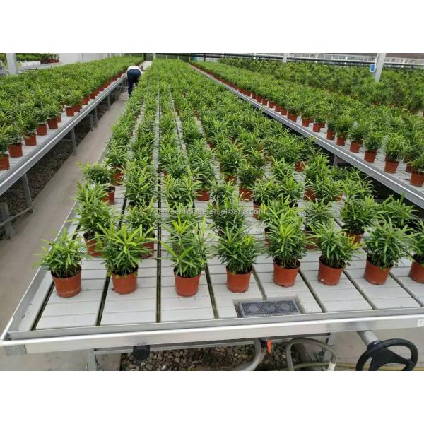 Вертикаль отлива и подачи растет Суды парника фильма таблицы потока свертывая