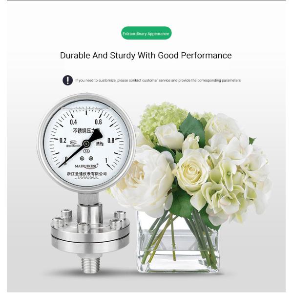 High Precision 1.6% YTP100BF Diaphragm Seal 4 Inches Manometer Pressure Gauge
