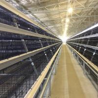 type cage de 3Rows 28sets/Row A de volaille de fil cultivant des équipements de poules