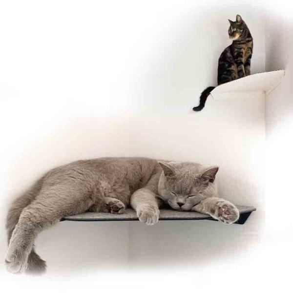 Prateleira de gato montada na parede Assento de quarto de gato de metal moderno com instalação pré-perfurada
