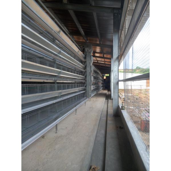 0.75kw H Type Automatic Poultry Feeding System For Chicken Layer Cage