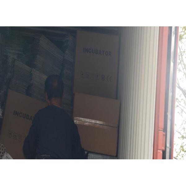 125 калибр колючей проволоки с 14 калибр 4 точки колючей проволоки тюрьма высокой безопасности колючая проволока ограждение колючая проволока цена в Бангладеш оцинкованная