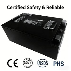 Rechargeable 2 Wheel 3 Wheeler Battery 60V 50Ah Lithium Ion Battery For Electric
