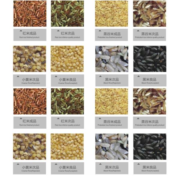 China Clam Sorting Machine Shell Color Sorter Dried Frozen Seafood Sorting Machine