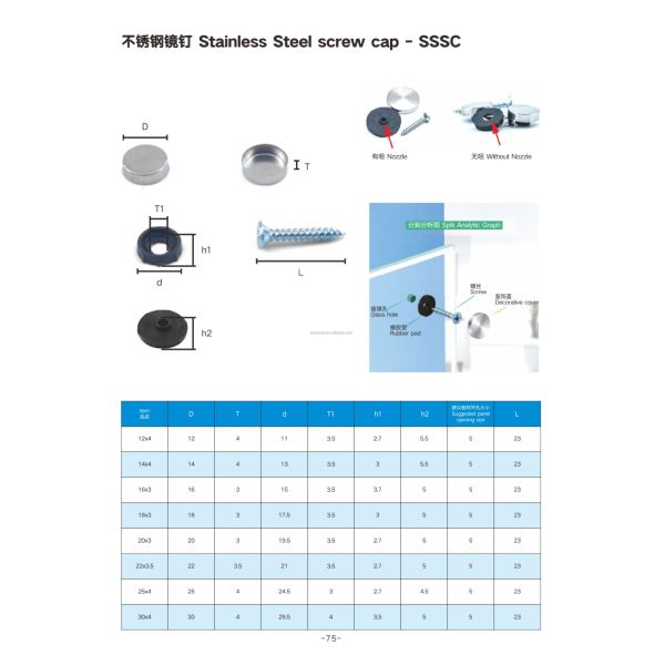 Stainless Steel Mirror Nail With Double Head Decorative Advertising Mirror Screw Nail