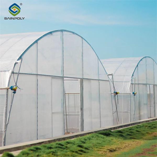 Invernadero de tomate personalizado con riego por goteo y luces de cultivo LED