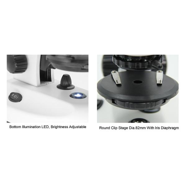 Stereo OPTO EDU 20x-100x Binocular Biological Microscope