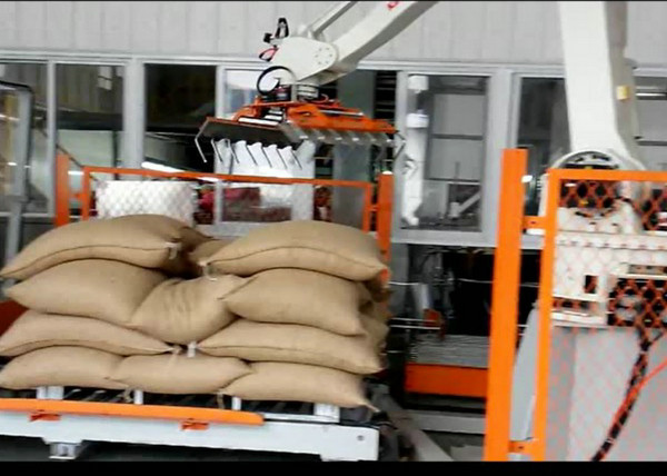Palletizer robotique automatique pour le système de Logsitics/FMCG/boisson de