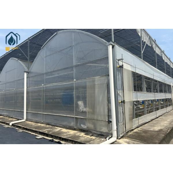 Plastic Multi Span Greenhouse Customized Eco Friendly Greenhouses With Temperature Controlled Growing