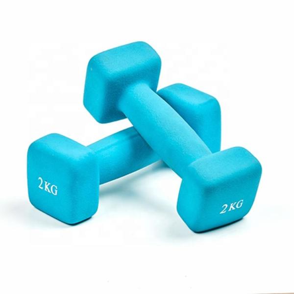 Custom Colorful Vinyl Coated Cast Iron Dumbbell Square Shaped