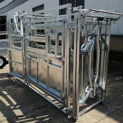 32mm Frame Stability Cattle Crushes Cattle Farm Equipment Easy To Clean