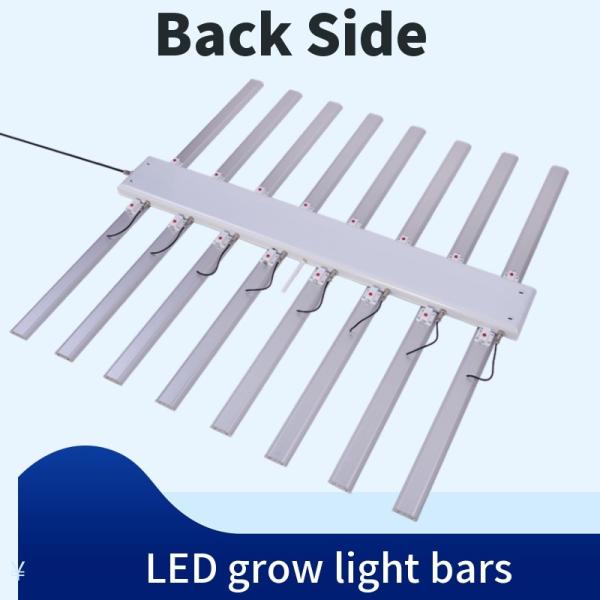Veg conduzido durável cresce luzes/estufa comercial cresce a C.A. das luzes 110V/220V