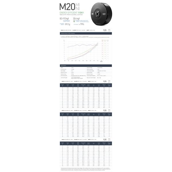 M20 MINI IPE Бесбросовый беспилотный двигатель постоянного тока длина кабеля 150 мм