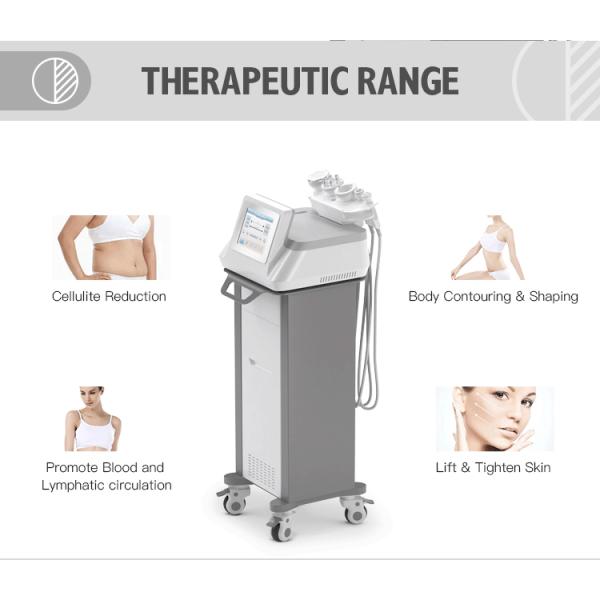 Máquina gorda da cavitação da máquina 800W 40k do corpo do vácuo do RF da cavitação do VAC