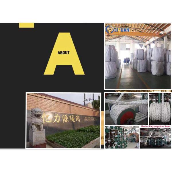 Larga duración de Manila cuerda retorcida Dia.4mm-60mm para el embarque de amarre y más longitud 0-1000m