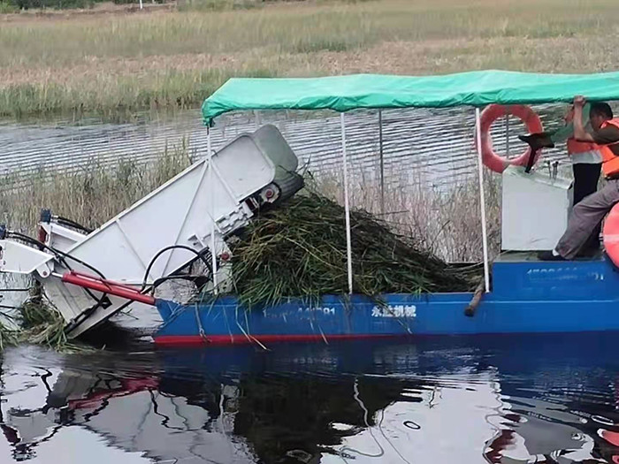 40 кВт Мощный озерный сорняк для уборки водных растений в водоемах