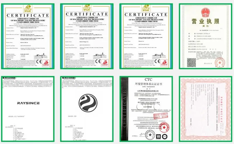 Raysince new design Adult electric car with right hand drive steering