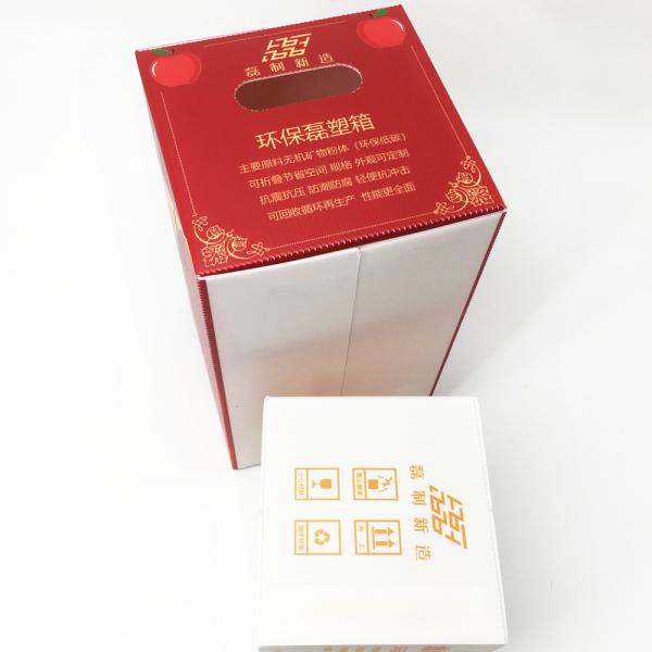 Moisture Proof Custom Corrugated Carton Reusable Plastic Fruit Vegetable Boxes