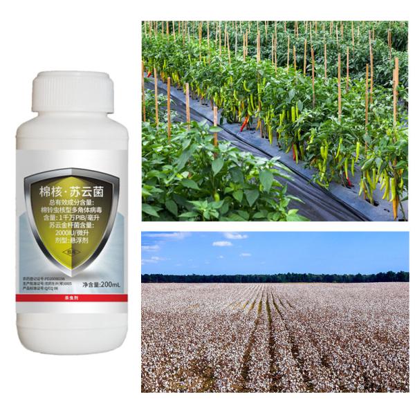 Pesticidas para el algodón orgánico ecológicos