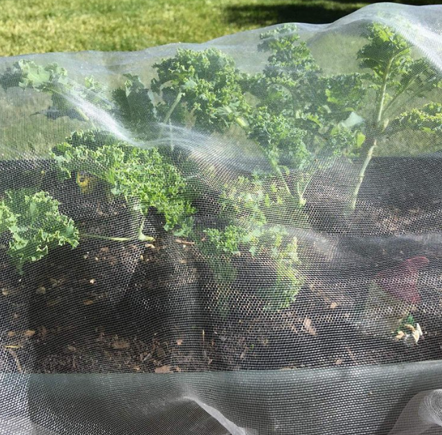 3m Width  Anti Insect Netting 50 Mesh For Vegetable Greenhouse