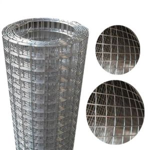 Electro Galvanized Welded Wire Mesh 1.2m Width Roll for Indoor Isolation