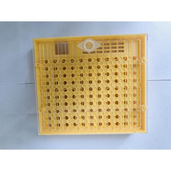 Plastic Queen Rearing Cupkit System 14.6cm*13cm*3cm for Bee Farm Queen Rearing