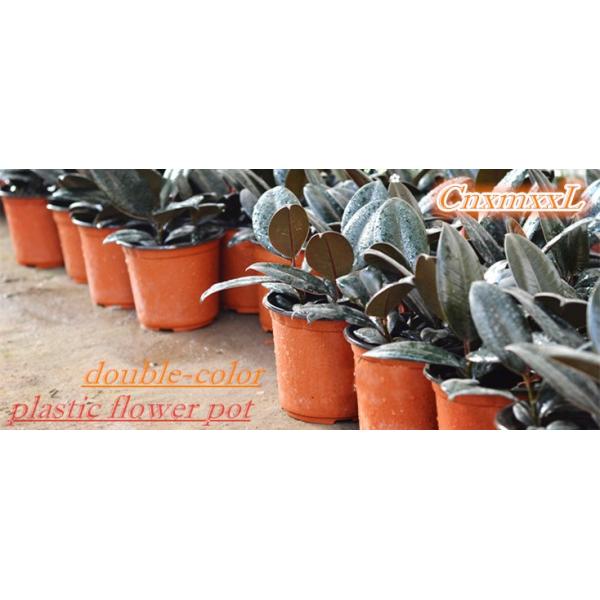 Черные оранжевые 17cm пластиковые баки завода срывают устойчивых крепких плантаторов полипропилена