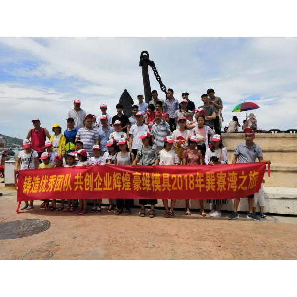 Dongguan Howe Precision Mold Co., Ltd.