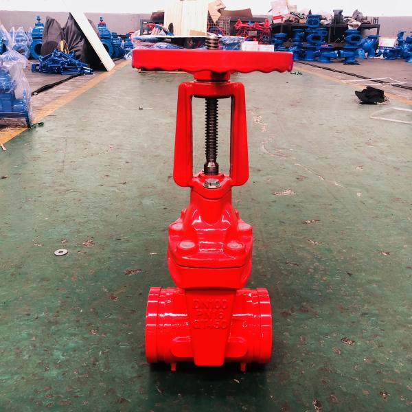 DN100 Long Stem Gate Valve Red Rising Stem Valve PN10 Pressure
