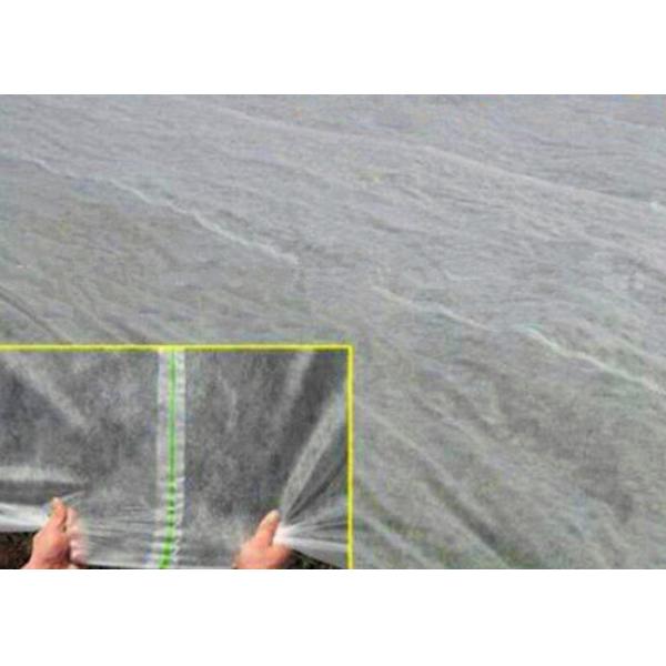 Анти--UV ткань ландшафта земледелия PP Spunbonded Non сплетенная Eco-Содружественная