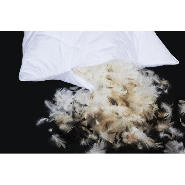 100% Polyester Queen Size Goose Feather Bed Pillows Set of 2 Soft 600 Thread Count