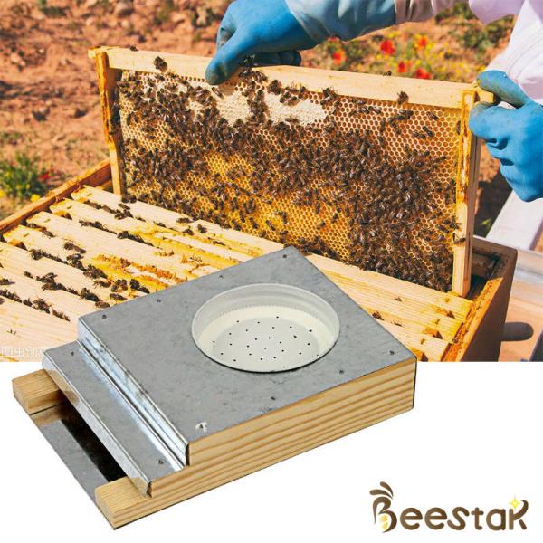 Фидер пчелы американского стиля инструмента Apiculture оборудования пчеловодства деревянный