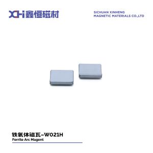 Постоянный магнит феррит для высококачественных мотоциклов Моторы для мотоциклов W021H