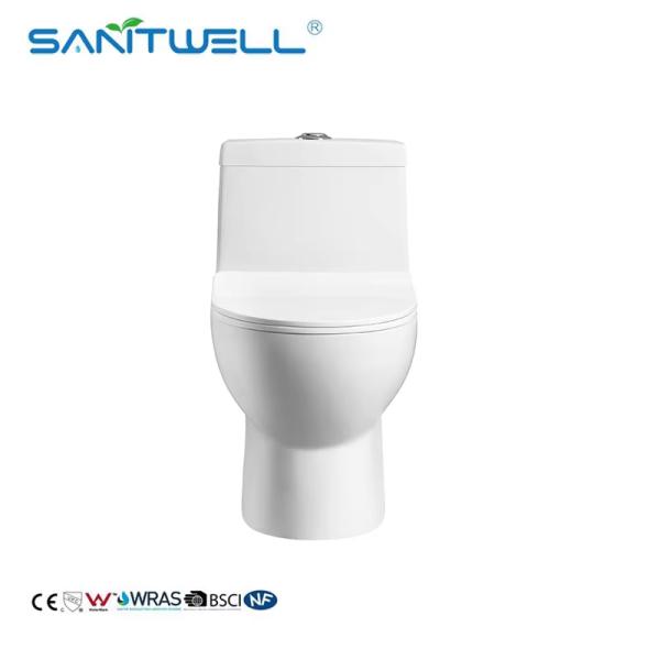 Sanitary Ware New Models Chaozhou Washdown One Piece Toilets PP Cover Seat Trap Roughing in