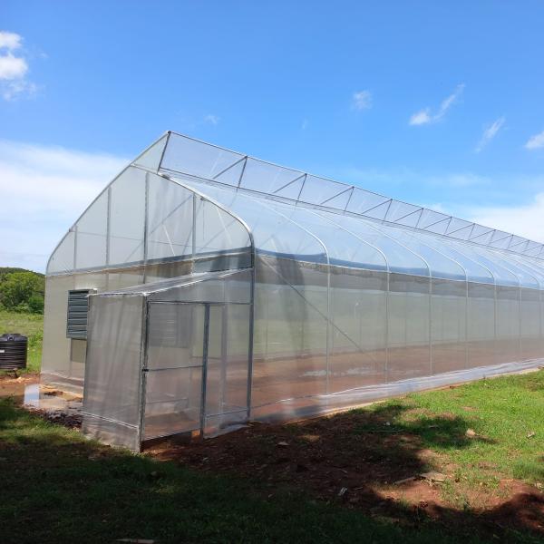 Da estufa plástica agrícola de Agri da estufa do Sawtooth único período de cultivo urbano