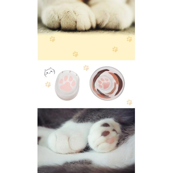 Термальной чашка матированного стекла когтя кота передачи 300мл дунутая рукой